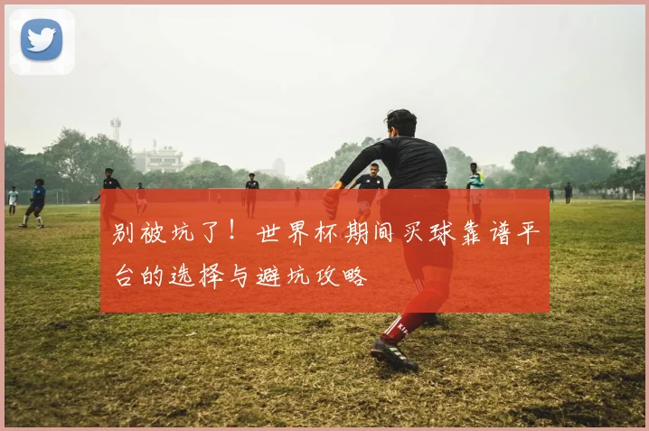 别被坑了！世界杯期间买球靠谱平台的选择与避坑攻略